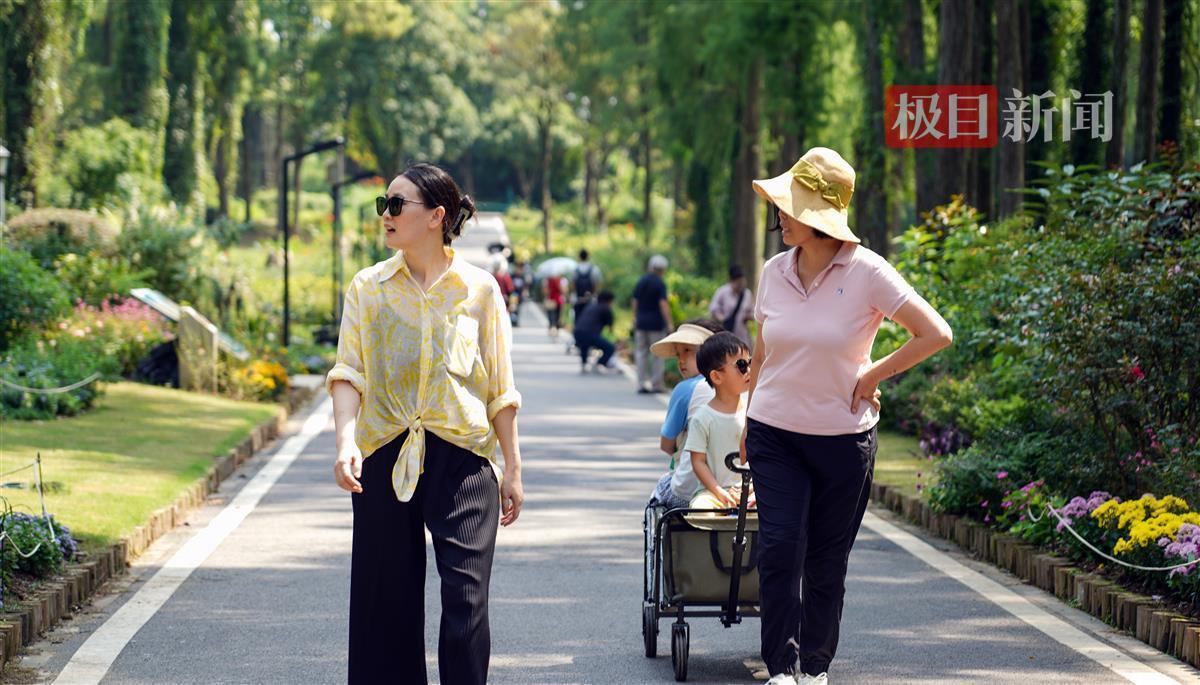 斗牛下载送金币
